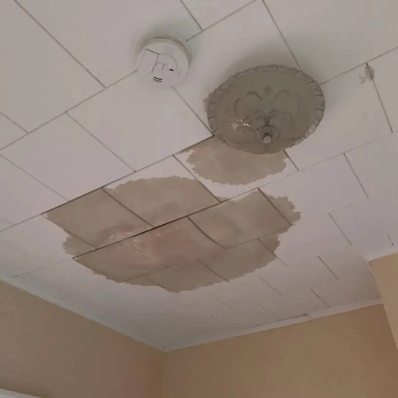 Ceiling Water Damage Repair in Oakdale, MN